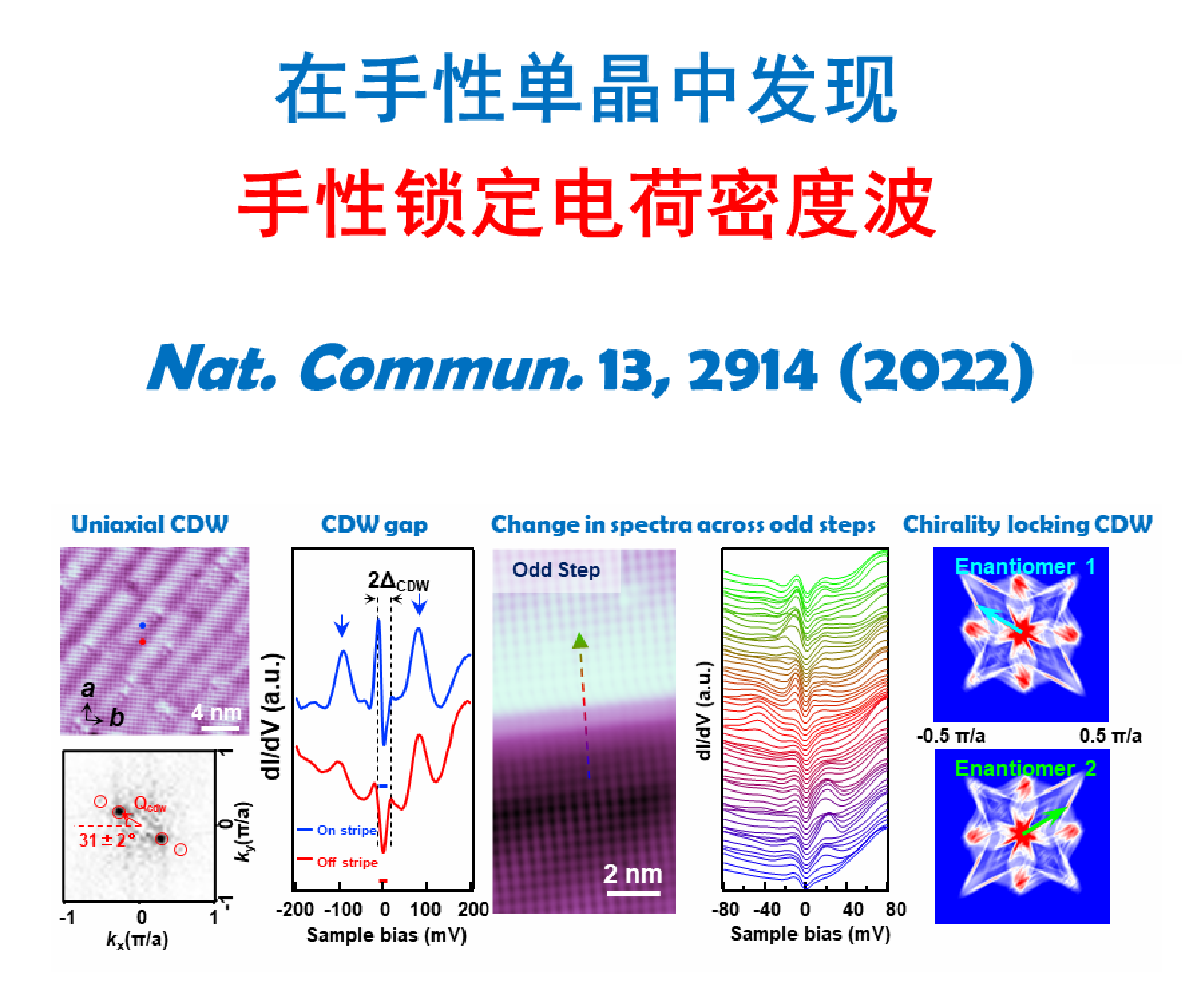 Chirality locking charge density waves in a chiral crystal