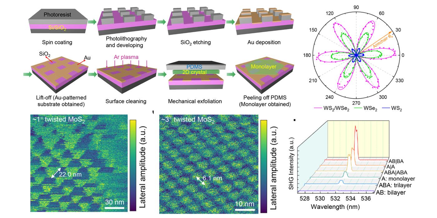 Gold-Template-Assisted Mechanical Exfoliation of Large-Area 2D Layers Enables Efficient and Precise Construction of Moiré Superlattices (2024)