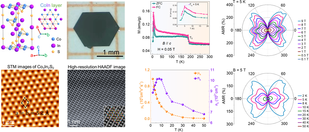 Field-Induced Butterfly-Like Anisotropic Magnetoresistance in a Kagome Semimetal Co3In2S2